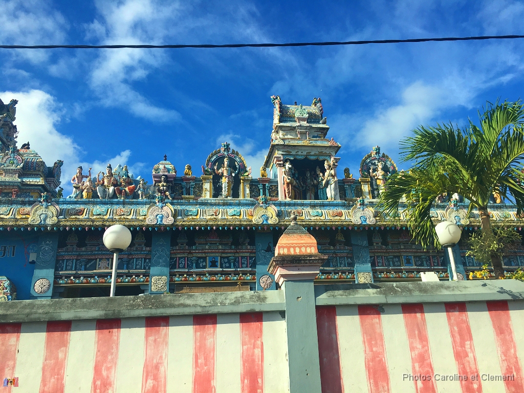 Ile Maurice Novembre 2016 74.jpg - Ile Maurice - Novembre 2016.